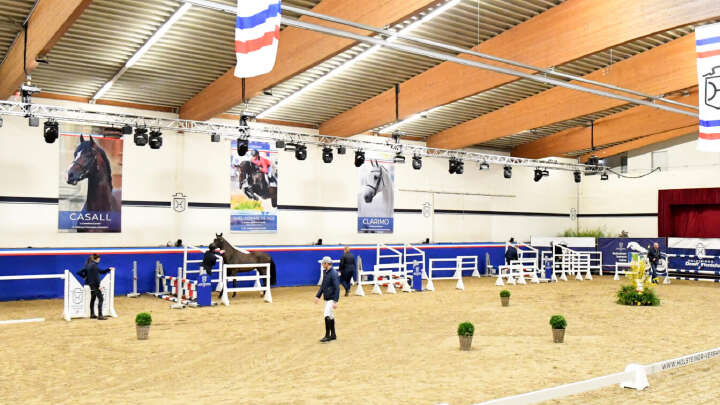 holsteiner verband derby community reithalle holsteiner verband derby community reithalle